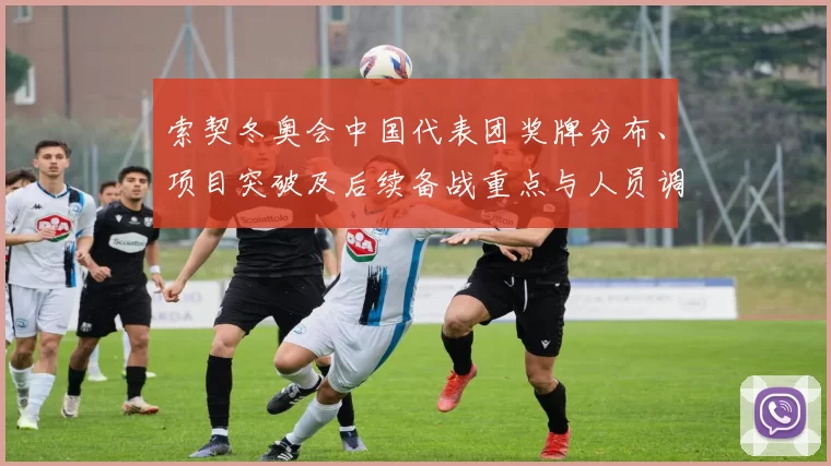 索契冬奥会中国代表团奖牌分布、项目突破及后续备战重点与人员调整建议