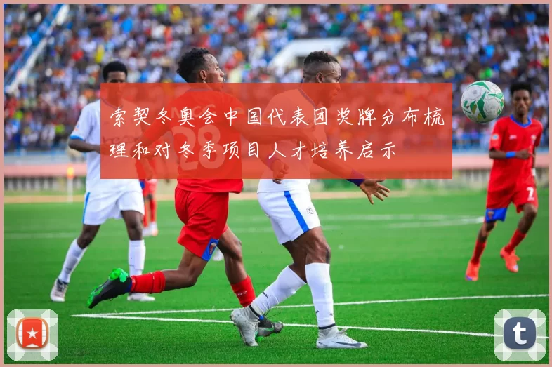 索契冬奥会中国代表团奖牌分布梳理和对冬季项目人才培养启示